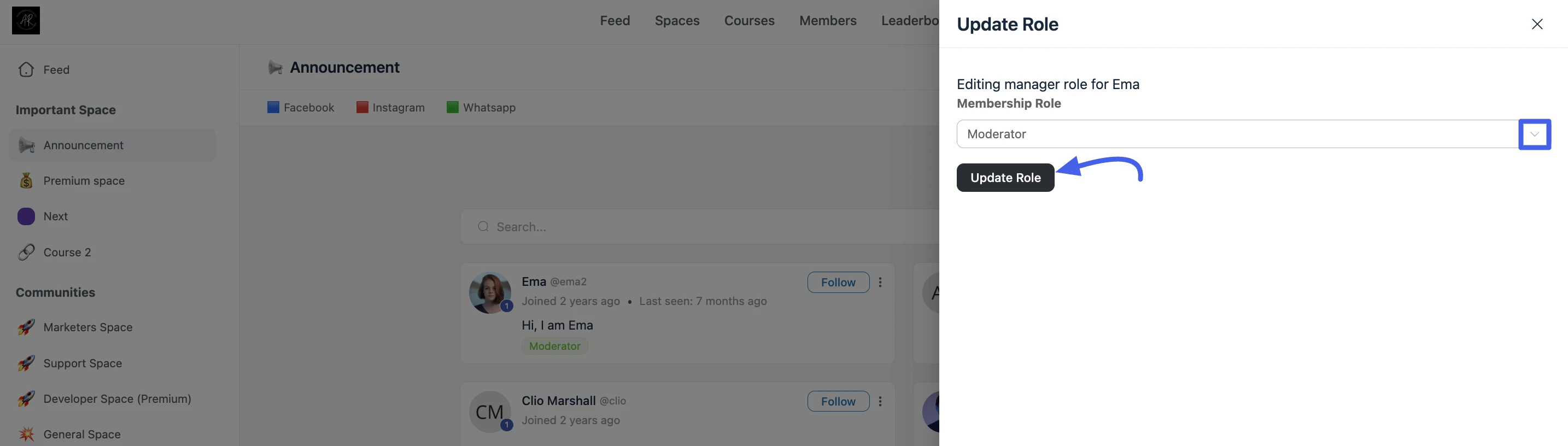 Update Role panel with Membership Role dropdown