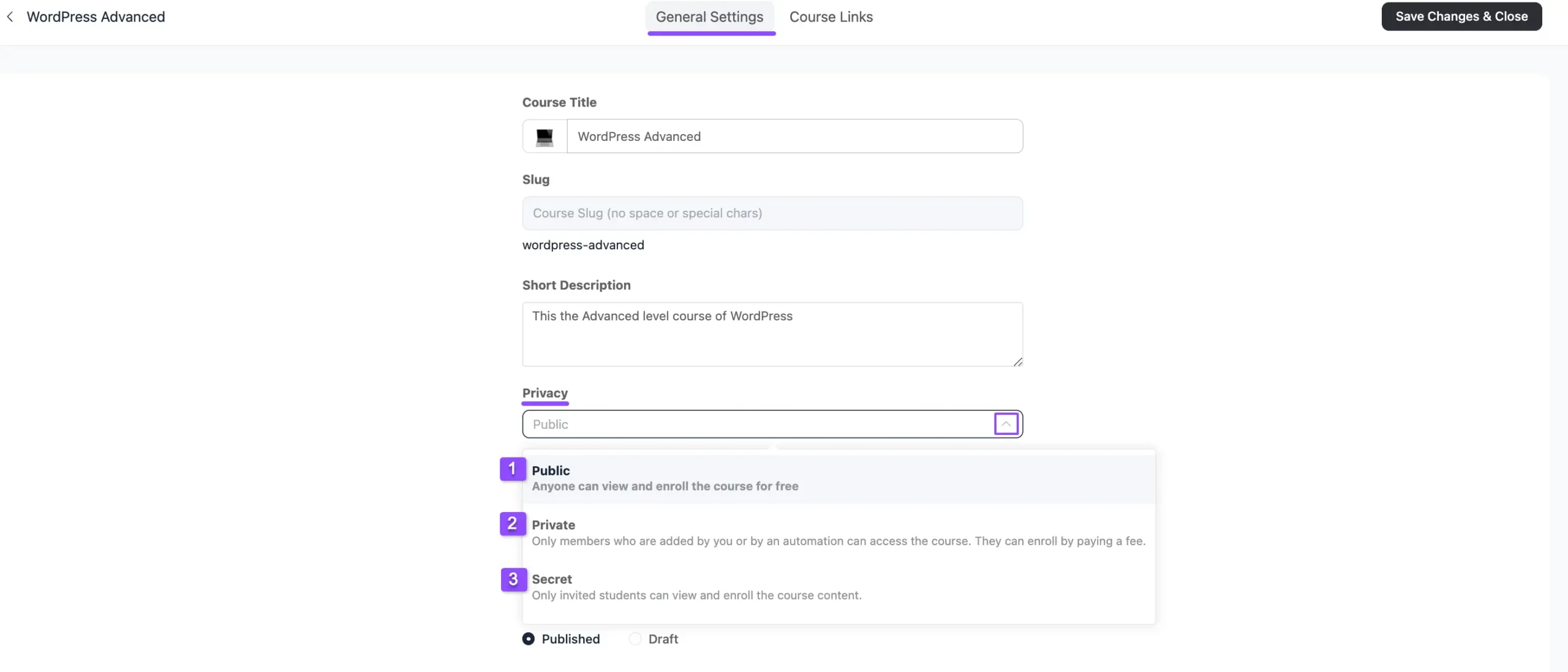 The Privacy dropdown showing Public, Private, and Secret options