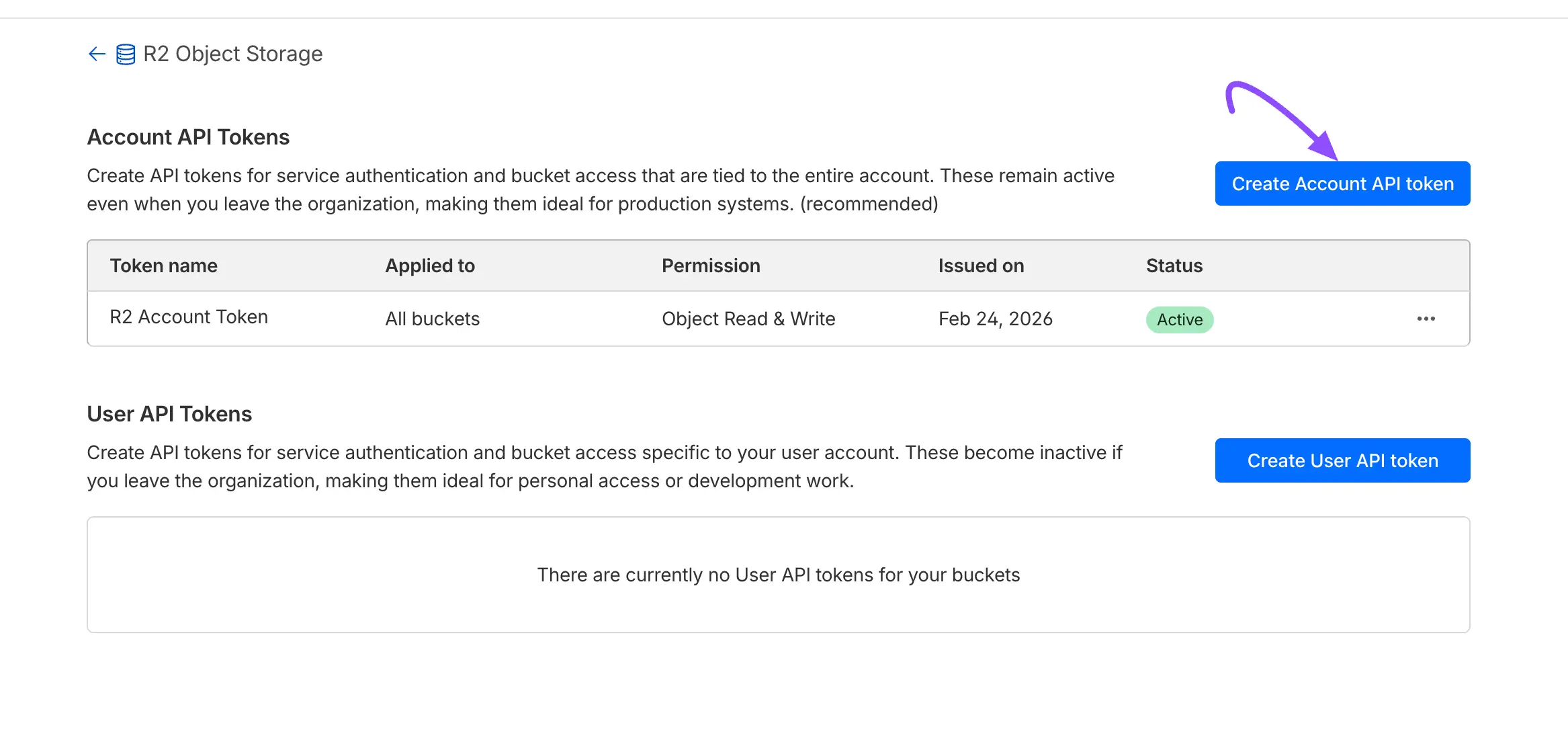 The Create API token button