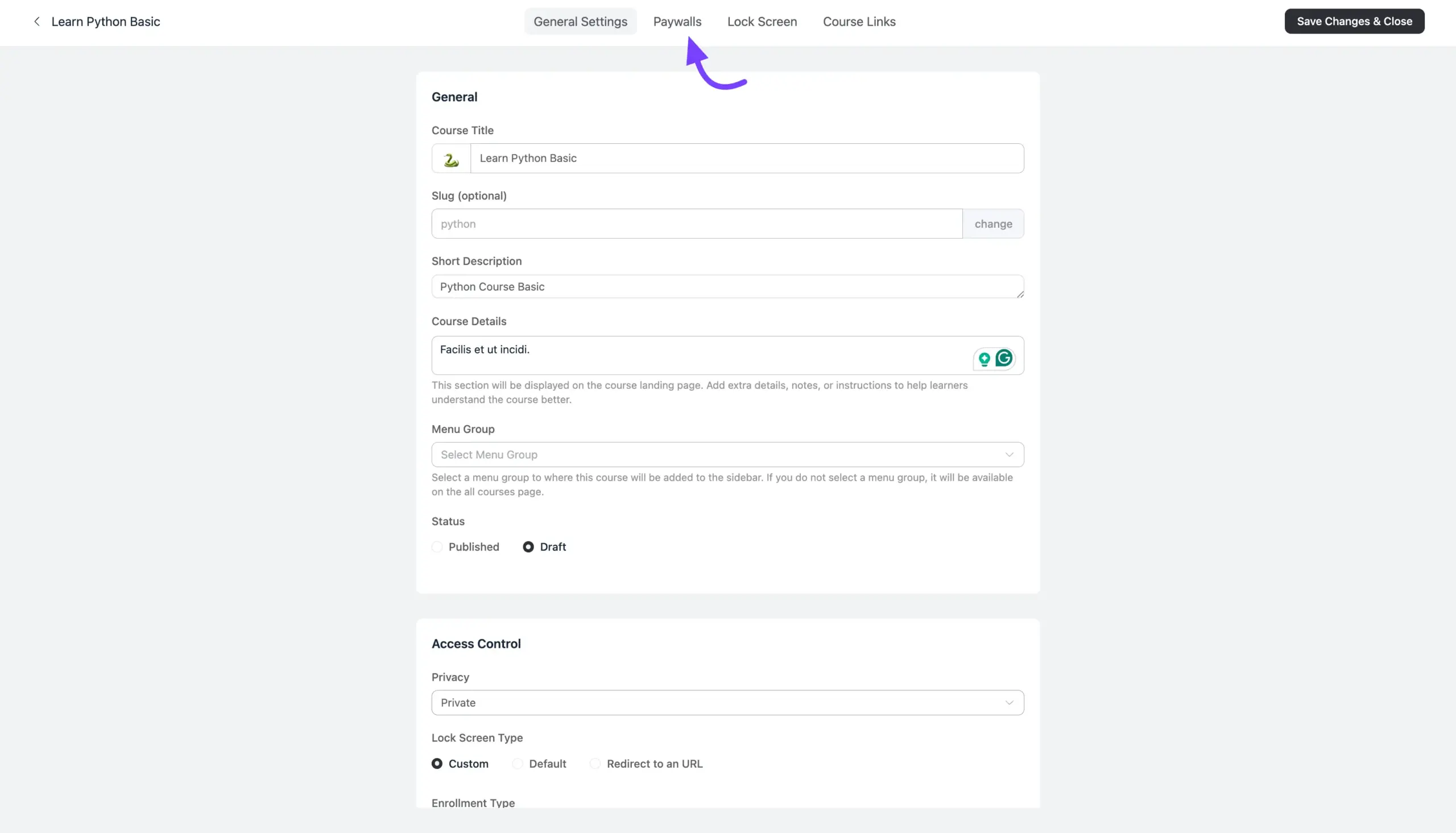 New Paywalls and Lock Screen tabs appear after setting privacy