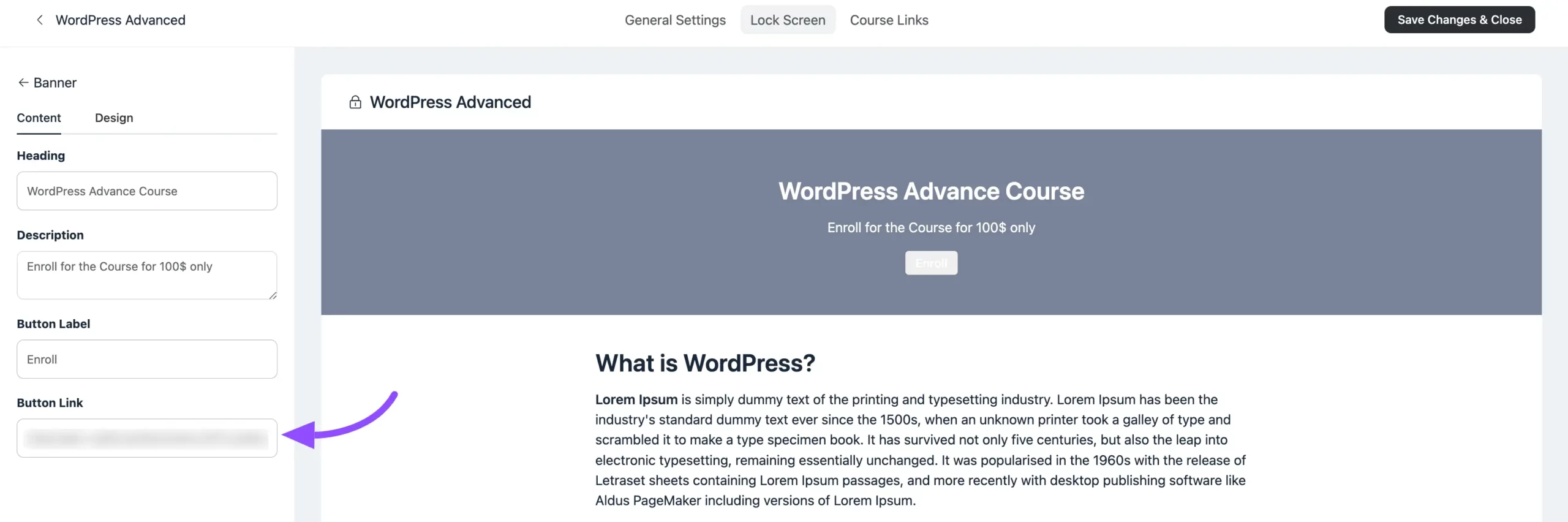Pasting the payment form URL into the course Lock Screen CTA button link field
