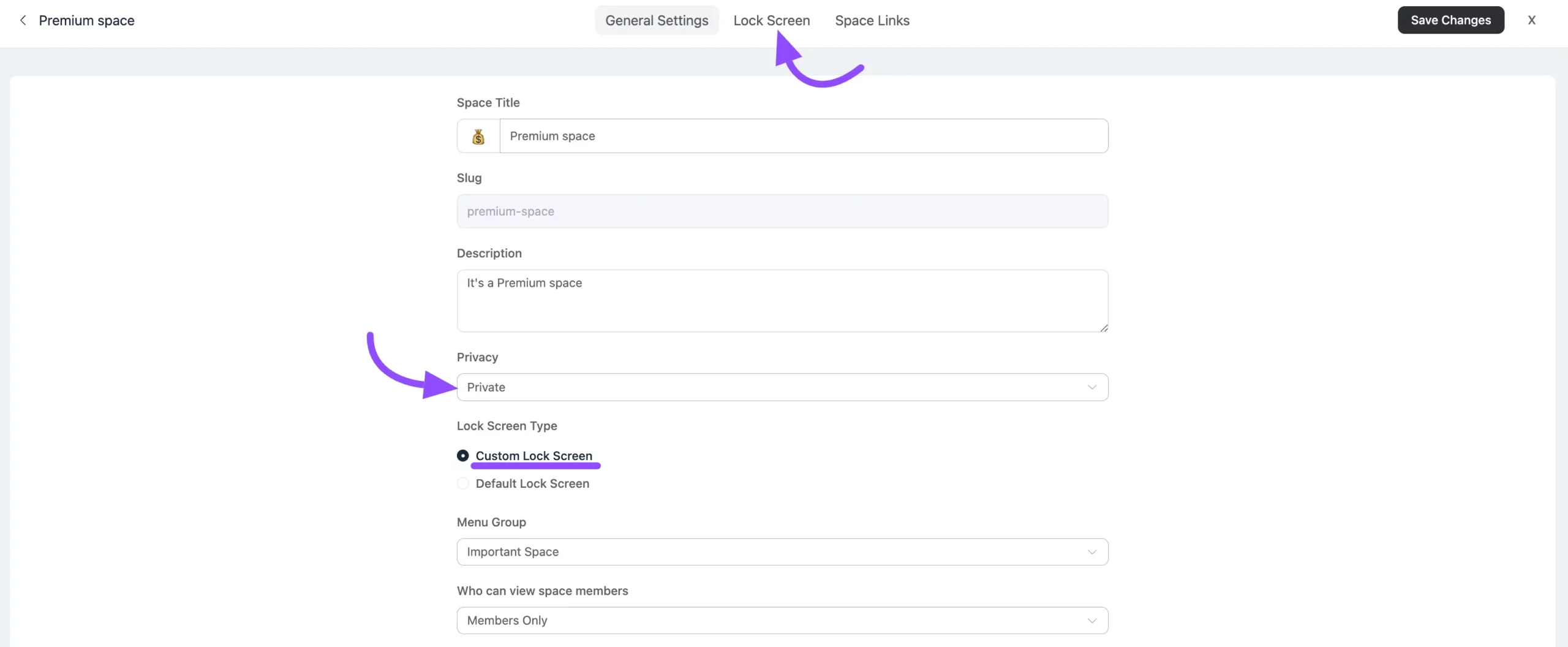 Space privacy set to Private with Custom Lock Screen selected