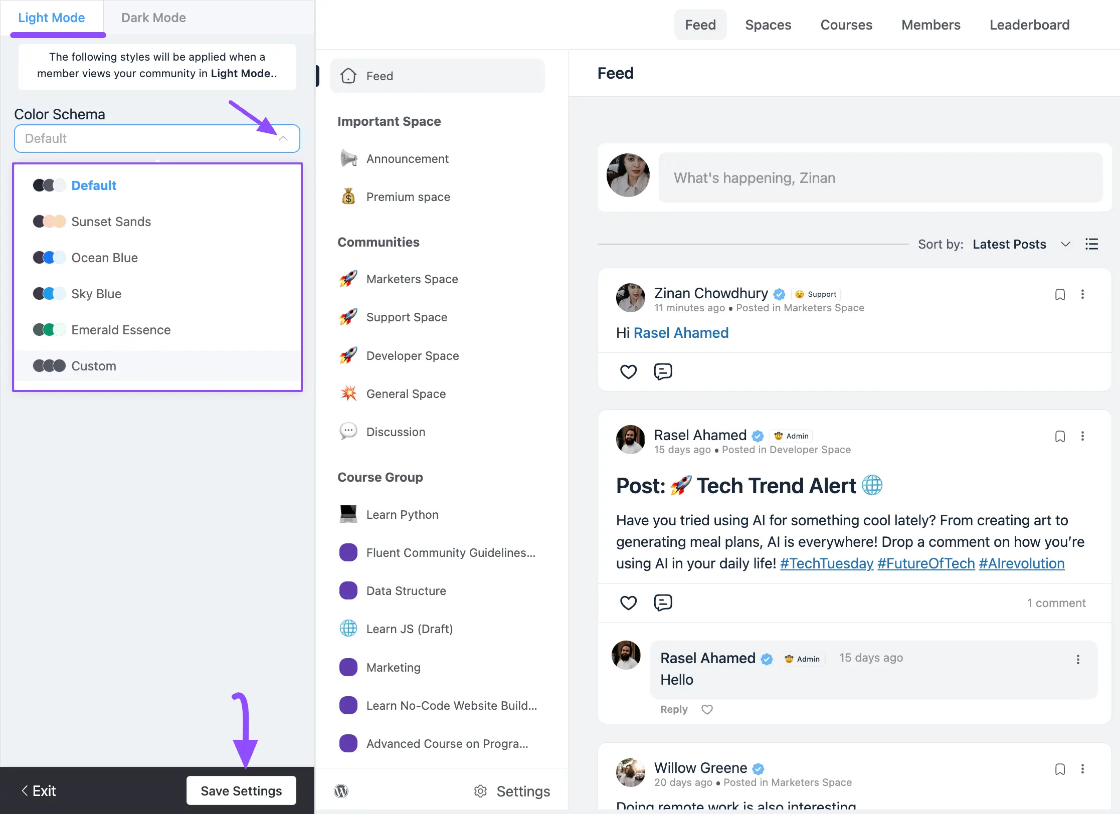 The Light Mode Color Schema dropdown field