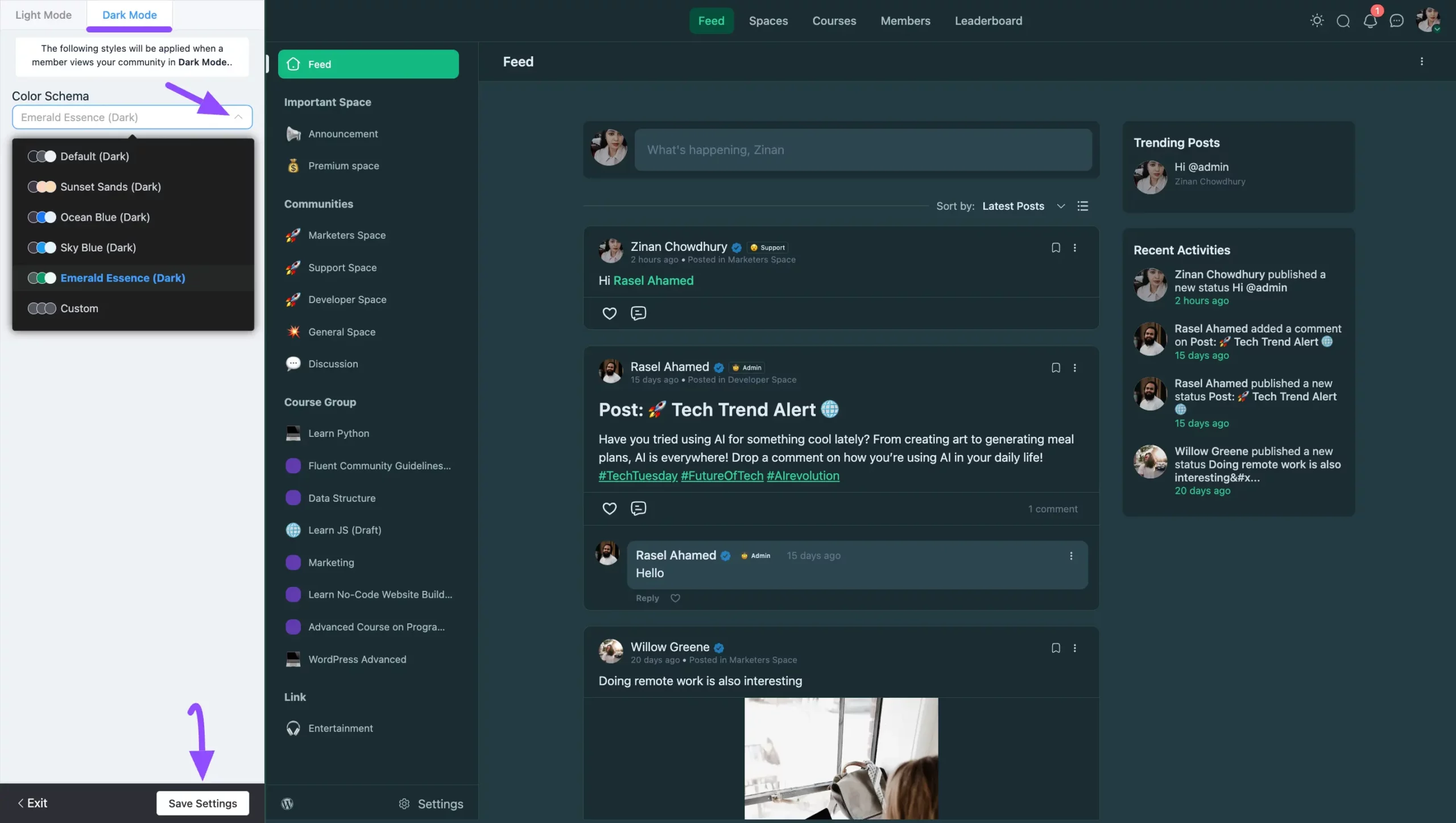 The Dark Mode Color Schema field