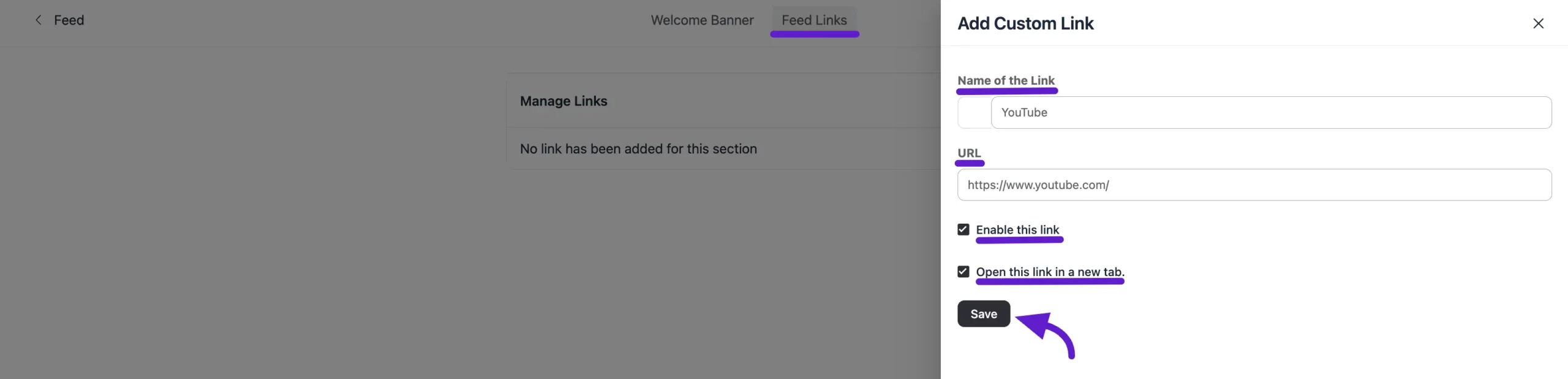 The Add New Link pop-up for feed links