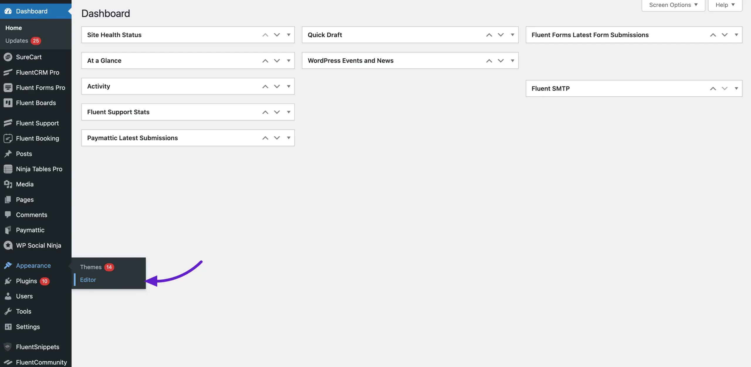 Opening the Editor from the Appearance menu